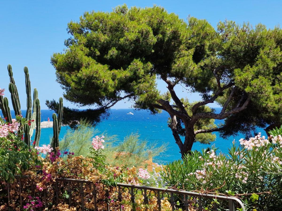 Apartamento The Shell - New Interior Look But Same Old Charme 200Mt From The Sea With Garden And Parking Nearby Imperia Exterior foto