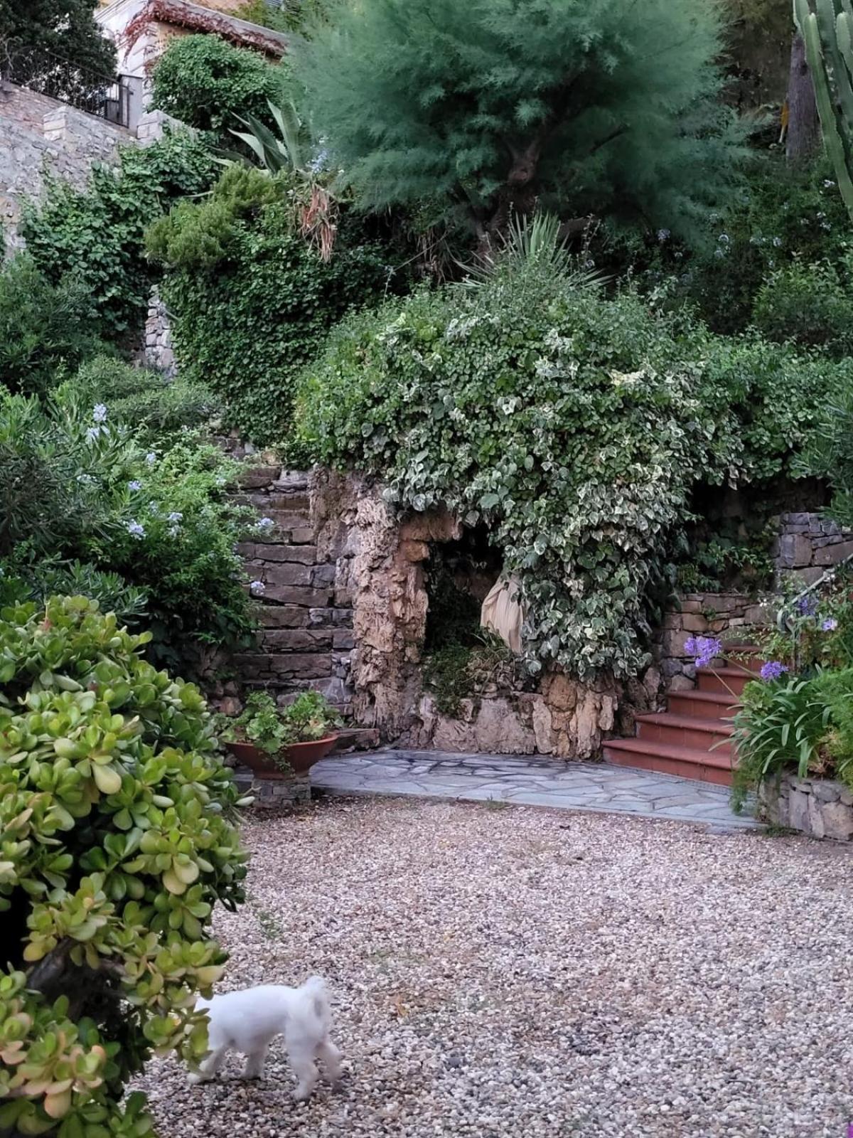 Apartamento The Shell - New Interior Look But Same Old Charme 200Mt From The Sea With Garden And Parking Nearby Imperia Exterior foto