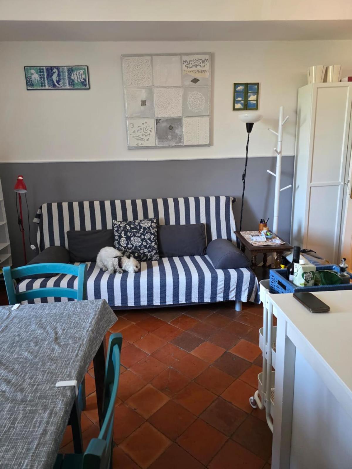 Apartamento The Shell - New Interior Look But Same Old Charme 200Mt From The Sea With Garden And Parking Nearby Imperia Exterior foto