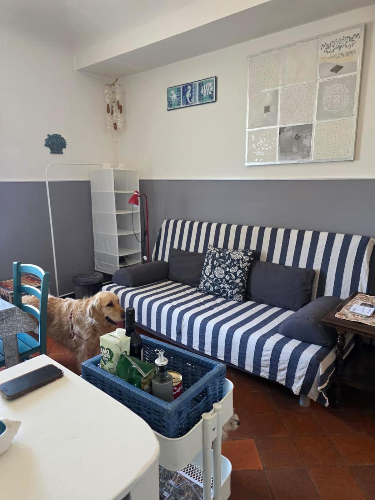 Apartamento The Shell - New Interior Look But Same Old Charme 200Mt From The Sea With Garden And Parking Nearby Imperia Exterior foto