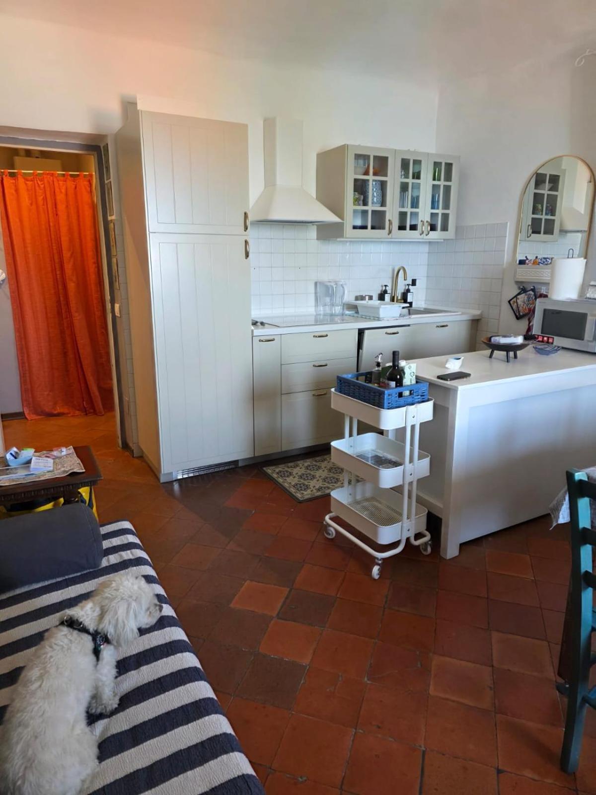 Apartamento The Shell - New Interior Look But Same Old Charme 200Mt From The Sea With Garden And Parking Nearby Imperia Exterior foto